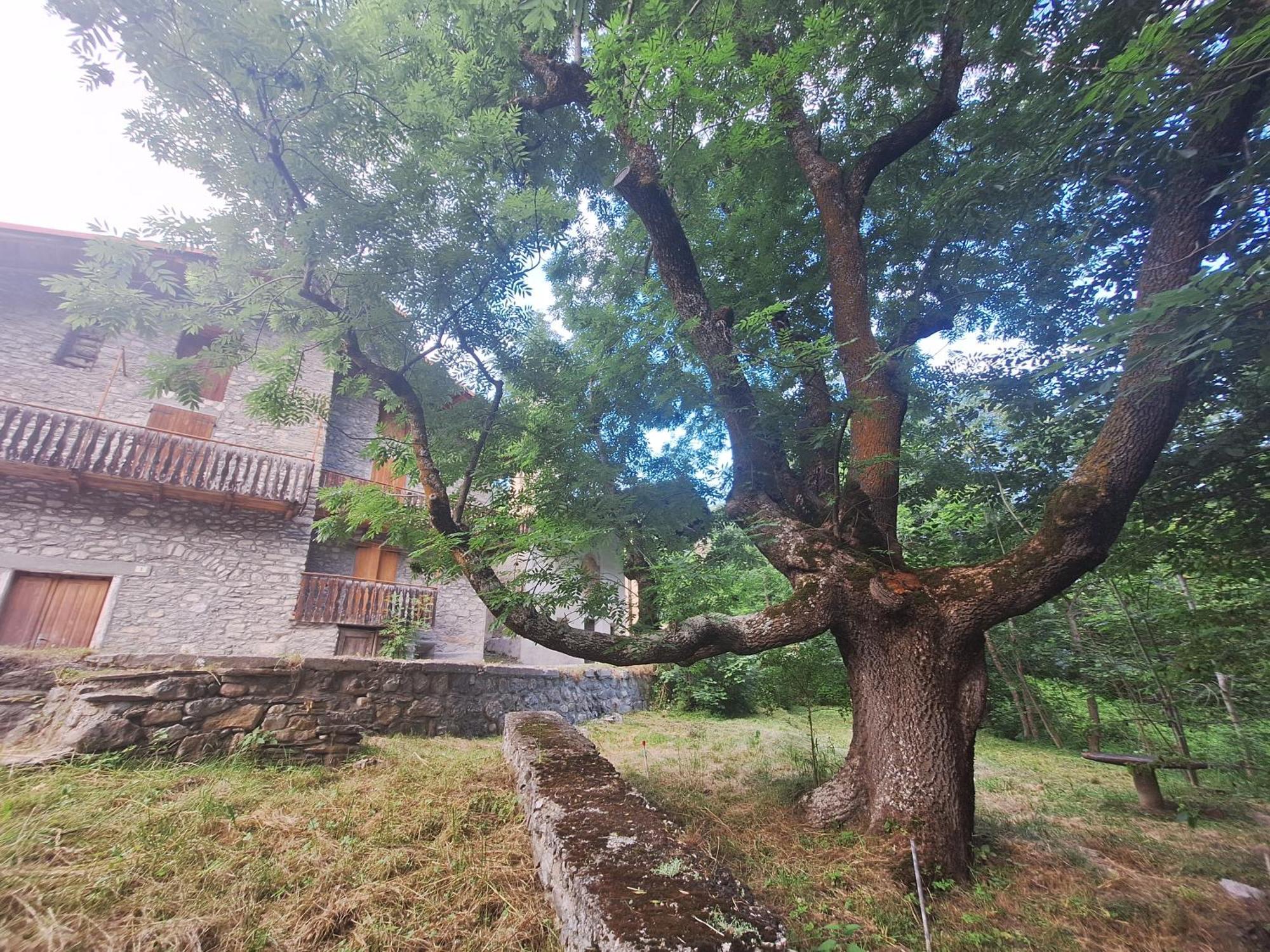 La casa del Gigante Frassino Acceglio Exterior foto